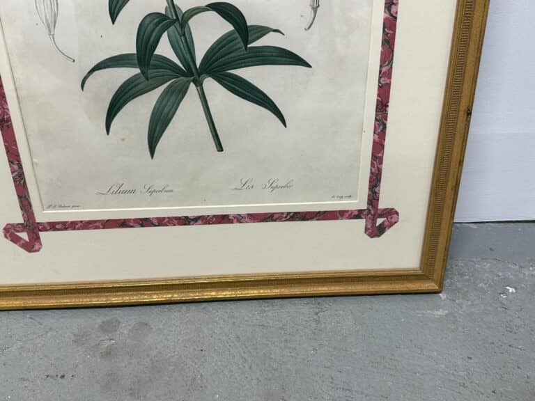Set of 6 framed botanical prints by Pierre Joseph Redoute featuring a plant with green leaves on a white background and a pink patterned border.