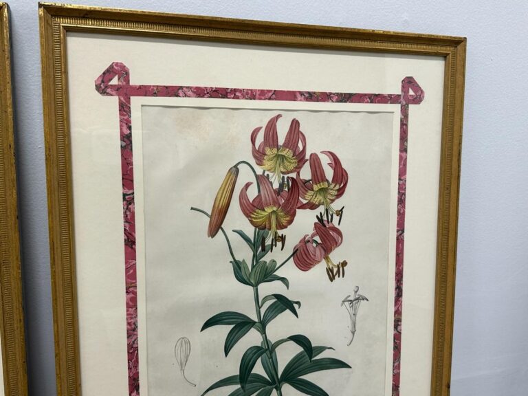 Framed botanical illustration of pink lilies with green leaves from the set "Pierre Joseph Redoute Botanicals, Framed, Set of 6," featuring a decorative pink border.