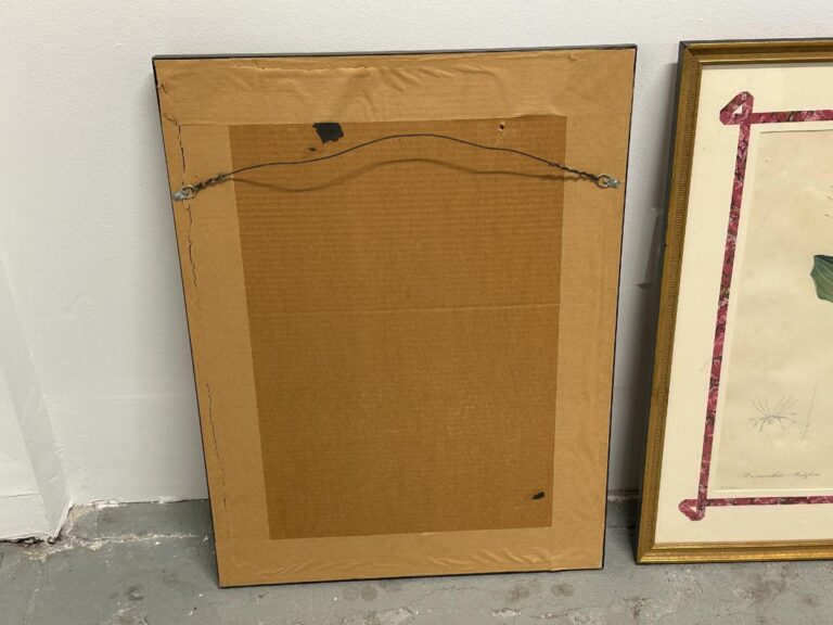 Partial view of a framed artwork with hanging wire beside the back of a picture from the Pierre Joseph Redoute Botanicals, Framed, Set of 6.