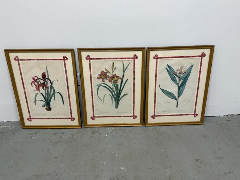 A set of three framed Pierre Joseph Redoute botanicals with red borders leans against a white wall on a gray floor.