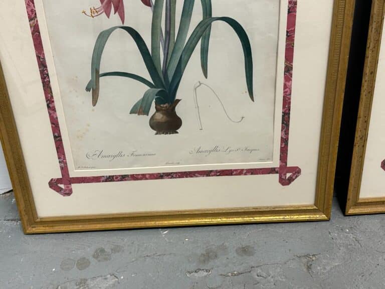 Set of 6 Pierre Joseph Redoute Botanicals, framed with an Amaryllis featuring pink ribbon accents, displayed on a concrete floor.