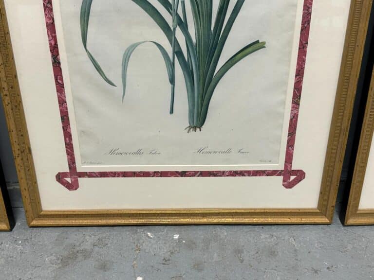 Set of 6 Pierre Joseph Redoute Botanicals with a flowering plant design, featuring a pink border and a golden frame.