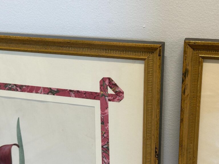 Two artworks from the set "Pierre Joseph Redoute Botanicals, Framed, Set of 6," featuring floral designs in wooden frames, are displayed on a white wall.