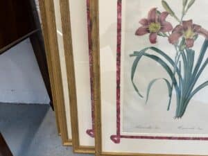 The Pierre Joseph Redoute Botanicals set of 6 features framed floral artwork with red flowers and green leaves, bordered by gold and red frames, leaning against a wall.