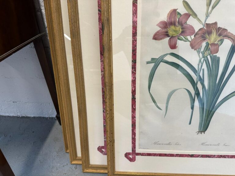 The Pierre Joseph Redoute Botanicals set of 6 features framed floral artwork with red flowers and green leaves, bordered by gold and red frames, leaning against a wall.