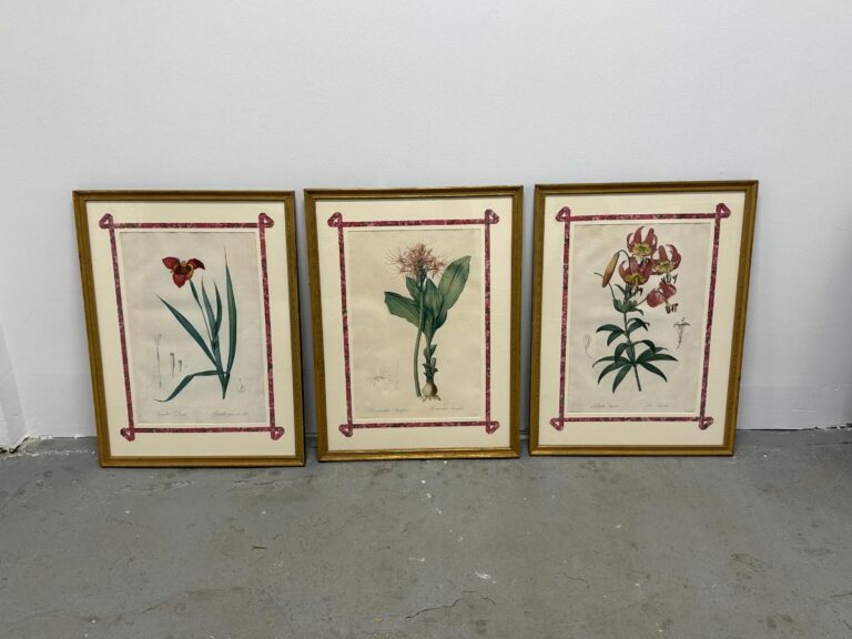 Three Pierre Joseph Redoute Botanical illustrations, part of a set of six framed in wood, are displayed on a concrete floor against a white wall.