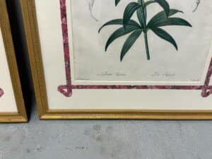 Set of 6 Pierre Joseph Redoute framed botanical illustrations with green leaves and pink floral borders, displayed on a gray floor.