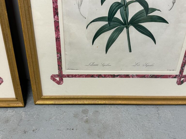 Set of 6 Pierre Joseph Redoute framed botanical illustrations with green leaves and pink floral borders, displayed on a gray floor.