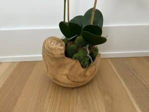 A wooden planter with green moss and orchid leaves sits on a light wood floor against a white wall.