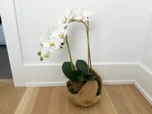 A white orchid in a wooden pot placed on a light wood floor against a white wall.