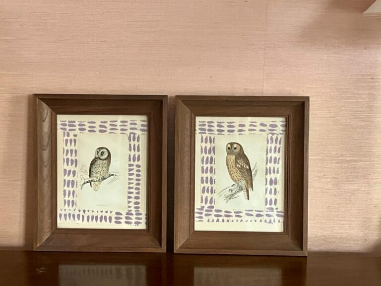 Two framed owl illustrations displayed on a shelf, featuring simple backgrounds with purple patterns.
