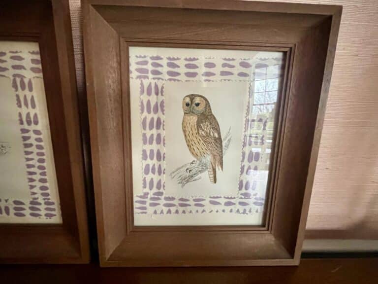 Framed illustration of an owl perched on a branch, with a patterned lavender border.