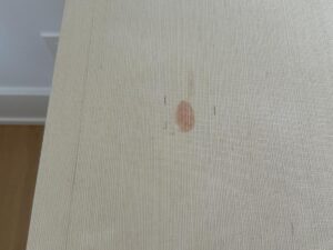 A beige textured tabletop with a visible brownish stain near the center.