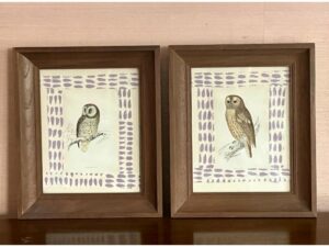 Two Framed Owl Prints with patterned purple borders are displayed side by side on a wooden surface.